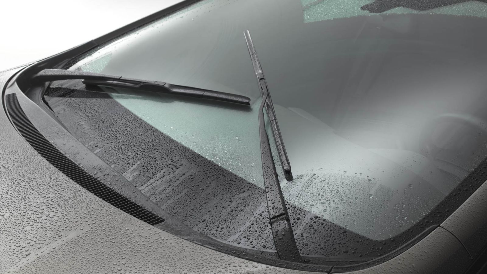 Maintenance of car wipers